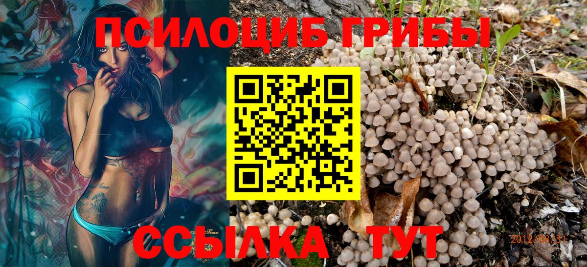 Галлюциногенные грибы прущие грибы  Вход с VPN  Галлюциногенные грибы Cubensis  Ржев 