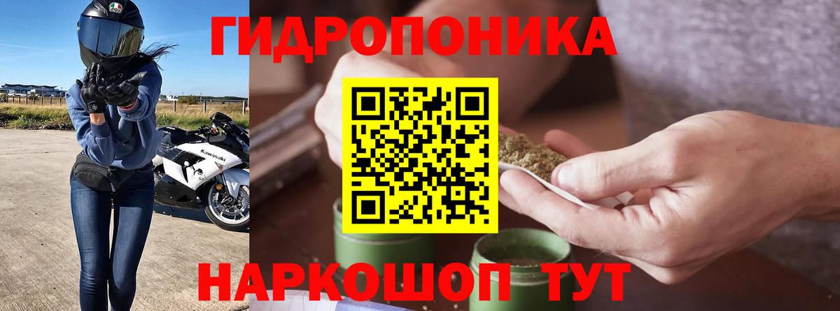 Канабис Amnesia  Конопля SATIVA & INDICA  Вход с VPN  Ржев 